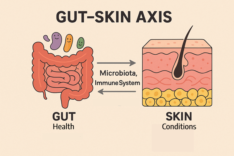 The Gut-skin axis is Mediated Through Microbiota and The Immune System